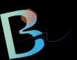 bizmatch