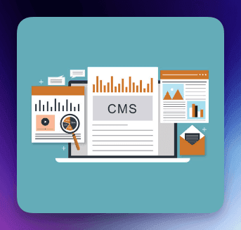 Content management systems (CMS)